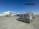 全球航空货运仓位批发和包机服务